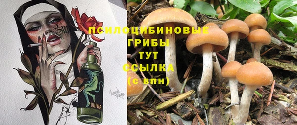 круглые Алексин