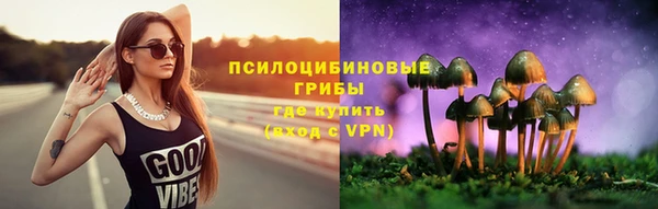 jwh Алзамай
