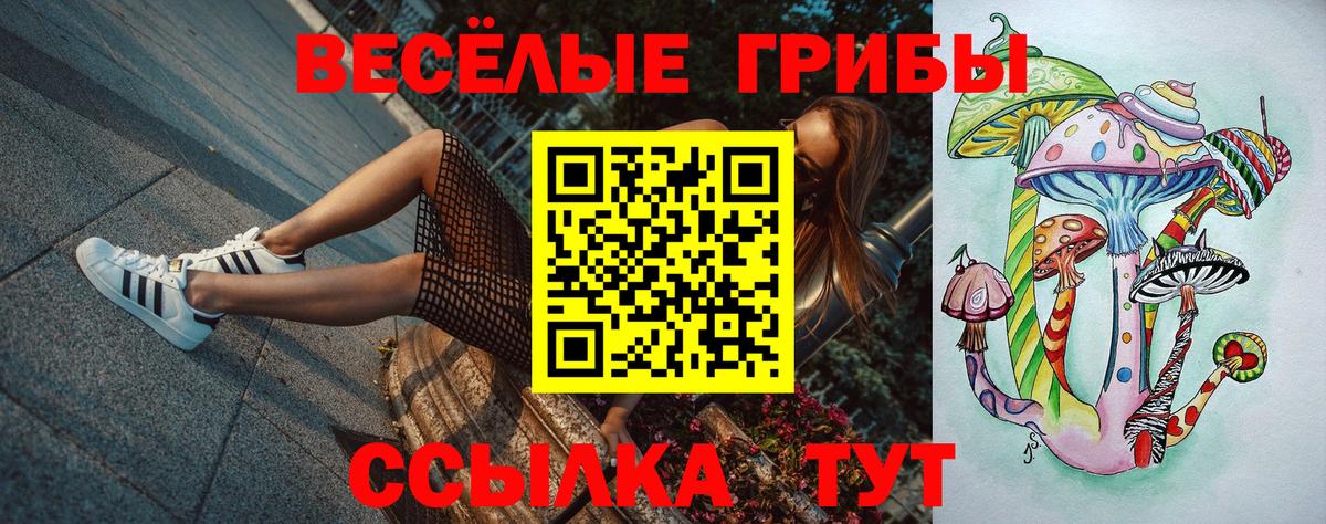 Лесосибирск  Псилоцибиновые грибы MAGIC MUSHROOMS  купить наркоту  Вход с VPN  Галлюциногенные грибы ЛСД 