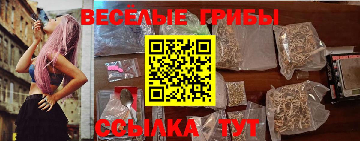 Псилоцибиновые грибы мицелий Лесосибирск